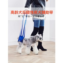 애완용품 슬개골탈구 장애견 다리밴드 휠체어 고령견년 노령개 뒷다리조력병 장애 마비된 강아지 보조대 척추후지, 03 살사, 02 S사이즈측정