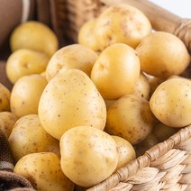 [한가락]가락시장 직배송 최상품경매제품 2023 생산 감자 5kg 20kg, 20kg (대)