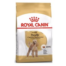 로얄캐닌 어덜트 푸들 강아지 사료 건식사료, 곡물, 500g, 2개