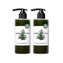 WB베지톡스클렌저 300ml x 2 그린