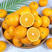 제주직송 제주 청견오렌지 국산 오렌지 2.5kg 4.5kg, 4.5kg 프리미엄과, 1개