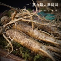 국내산 금산인삼 5 6년근 인삼 수삼 750g 무료세척 난발삼 원수삼, 일반, 선택6 뿌리 많은 인삼 대