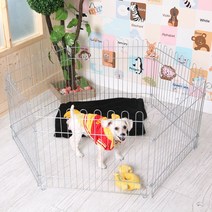 블루밍홈 애견울타리 철장 6각 애견용품, W55 X D46 X 6개
