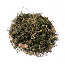 [괴산약초유기농산물협동조합] 100%국내산 개똥쑥 200g*2, 200g