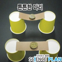 엑스사이언스 초등 재미있는 과학실험 [힘의분산] 튼튼한 다리, 5인