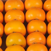 [이베따] 국내산 햇 단감 10kg, 1박스, 02_단감 10kg(61-70과,중과)