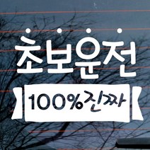 [KT알파쇼핑]자동차스티커_타이포 초보운전 100퍼센트 진짜(화이트), 화이트_색상_상세페이지참조