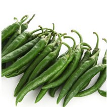 햇살조은 국내산, 청량고추, 1kg, 1개