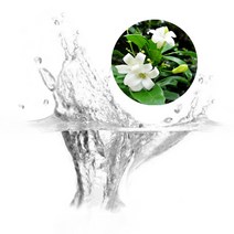 프랑스와즈 천연비누 / 화장품 원료 만들기 네놀리 플로럴워터, 100ml
