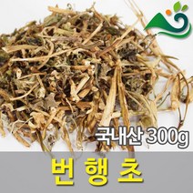 번행초(300g)-국내산, 300g, 1, 1개