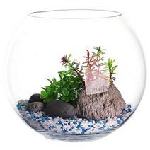 잎새몰 볼25 어항 + 바닥재 세트, 오색자갈, 1세트