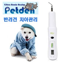 펫덴 애완견 치석제거기, 화이트, 1개, 펫덴 치석제거기 단품