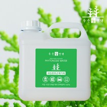 푸른숲편백 새집케어 피톤치드원액 대용량 2L 리필용 국내산 편백 탈취제, 1개, 4L(대용량 리필용)