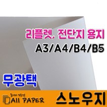 올페이퍼 100g~300g 스노우지, 250매