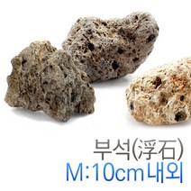 부석(浮石) PUMICE / M : 10cm내외 [나사 낚시줄1m포함] X 2조세트, 1개