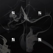 (4종CD) 방탄소년단 (BTS) - 2집 Wings (W.I.N.G 4종 버전으로 발송), 단품