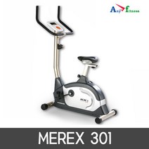 대호스포츠 애니휘트니스 MEREX 301 싸이클 입식자전거