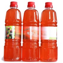 농선 자연발효 복분자 식초, 1병, 900ml