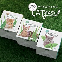 냥이친구 캣글라스 3종 세트[밀 캣닢 귀리], 단품