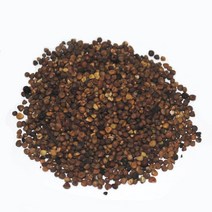 열린약초 국내산 토사자(새삼씨) 300g, 1개, 1개