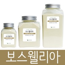 바른건강 TV방송인기제품 보스웨일리아 추출물 분말 파우더 가루 보스웰리아, 500g, 1개
