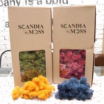 스칸디아모스 11색상! 천연이끼 공기정화!, 500g 스칸디아모스-클래식 블루