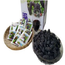 23년 수확 샘골건강즙 샘골참오디즙 100mL 50포, 50개