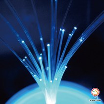 사이언스존 [한밤의 불꽃 축제 (전해질 광섬유) 5인용] 과학실험 과학교구 과학실험키트 창의력 학습교구