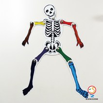 사이언스존 [칼라뼈 아저씨 5인용] 과학실험 과학교구 과학실험키트 창의력 학습교구