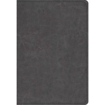 ESV Student Study Bible: English Standard Bible Gray Trutone, Crossway Books