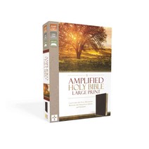 Holy Bible: Amplified Burgundy Bonded Leather Captures the Full Meaning Behind the Original Greek and Hebrew, Zondervan
