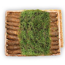횡성더덕 선물세트(상3kg), 1개
