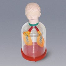 호흡운동실험기