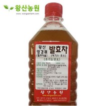 왕산농원 엉겅퀴 발효액 유기농인증, 1.5L, 2병, 2병