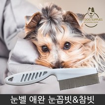 눈벨 애완 눈꼽빗/참빗, 1개