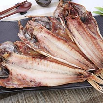 (할인이벤트중) 파란별건어물 [속초직송] 담백한 맛이 일품 반건조 볼락(장문볼락) 37cm 뽈락, 410g (37cm), 3마리