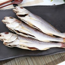 (할인이벤트중) 파란별건어물 [속초직송] 바다보양식 반건조 민어 (대서양 조기속) 37cm 민어조기, 3마리