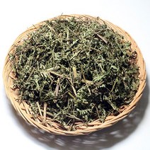 다온약초 국산 인진쑥 건초 음양곽 100g, 300g, 1개