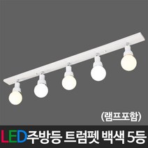 부경조명 LED주방등 LED욕실등 인테리어주방등 LED조명, C-03 트럼펫5등 백색(램프포함) 60W 주광색