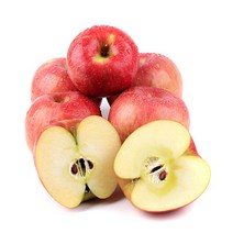 햇살농원 껍질째 먹는 충주 고당도 사과, 1box, 3호중과5kg(17-20과내)