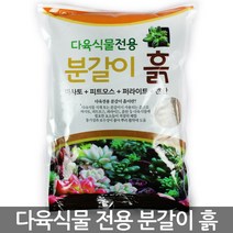 갑조네 다육분갈이흙 1.5kg 다육식물전용 분갈이 흙 분재 선인장, 1개