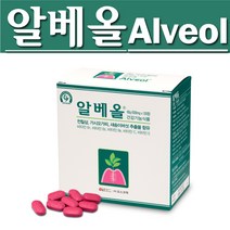오스코텍 알베올 500mgx120정/잇몸건강/가시오갈피, 120정, 1개