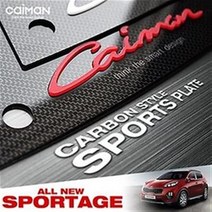 카본스타일 C필러 스포츠플레이트 - 올뉴스포티지, SPORTAGE