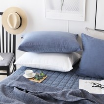 예지나홈 피그먼트 베개커버