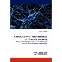 Computational Neuroscience of Granule Neurons Paperback, LAP Lambert Academic Publishing
