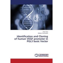 Identification and Cloning of Human Vegf Promoter in Pgl3 Basic Vector Paperback, LAP Lambert Academic Publishing