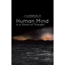 Human Mind in a Storm of Thought Paperback, Xlibris Corporation