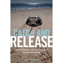 Catch and Release: The Enduring Yet Vulnerable Horseshoe Crab Hardcover, New York University Press