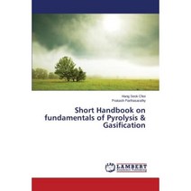 Short Handbook on Fundamentals of Pyrolysis & Gasification Paperback, LAP Lambert Academic Publishing