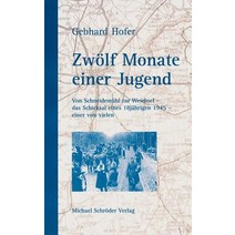 Zw LF Monate Einer Jugend Paperback, Schroder